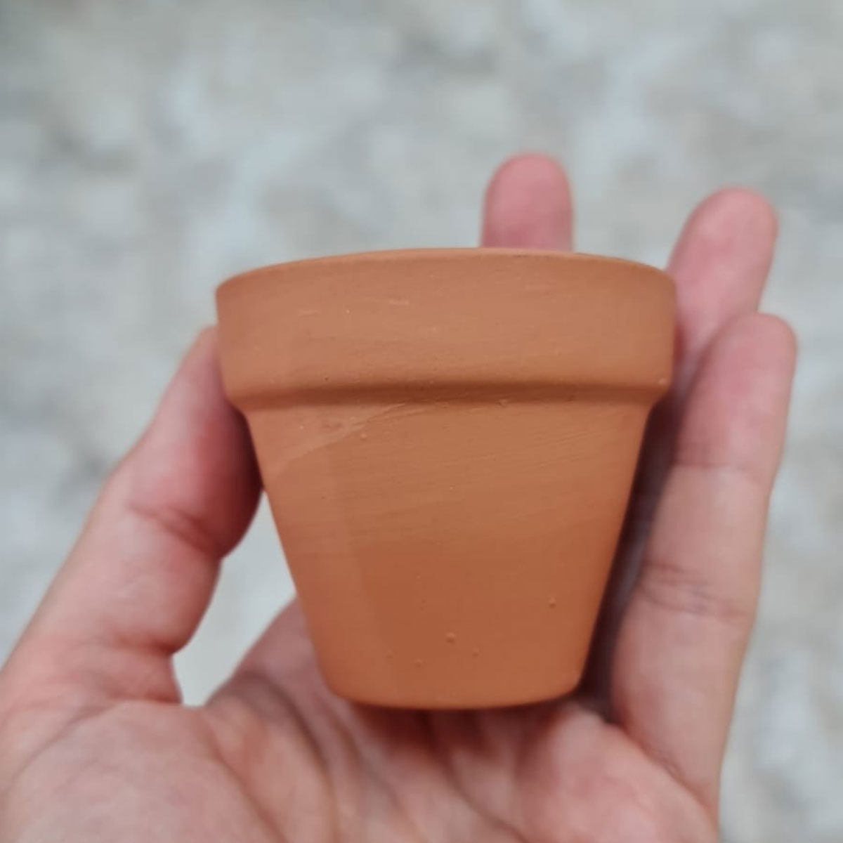 Projectes 3D i renderitzacions