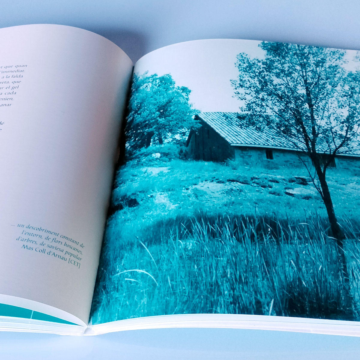 Maquetació i edició