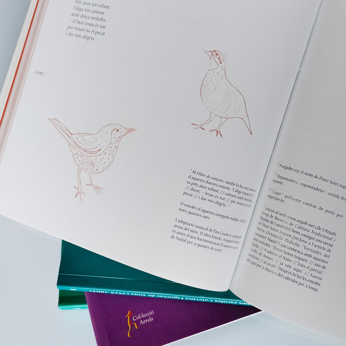 Maquetació i edició